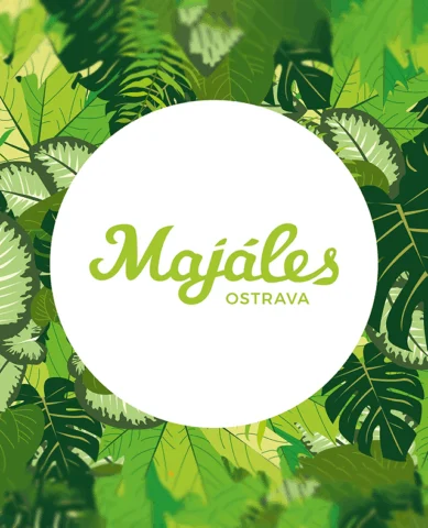 Majáles Ostrava – 25. místo CZ/SK Outdoor 2024 | Bass Awards