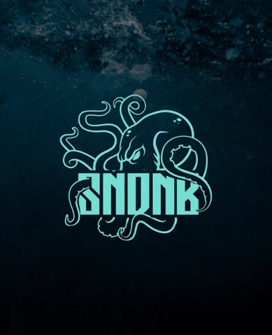 SNDNB – 44. místo CZ/SK Indoor 2021 | Bass Awards